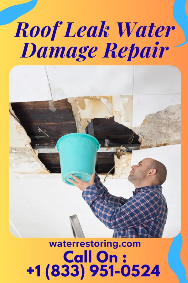 Roof Leak Water Damage Repair in Garcon Point, FL